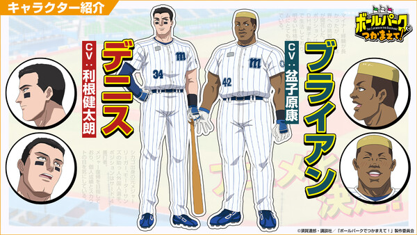 the-catcher-in-the-ballpark-brian-dennis