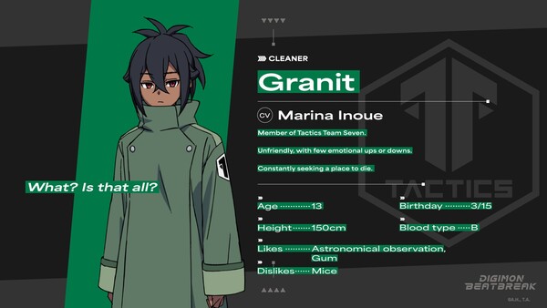 granit.jfif