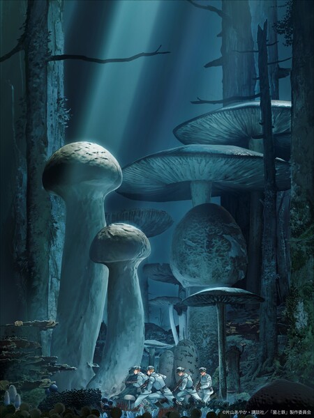 fungus