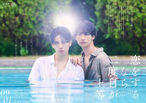 koinido-s2visual