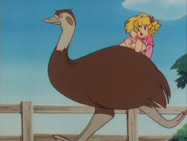 lucas_04.png