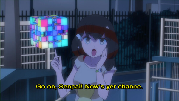 coop-03.png