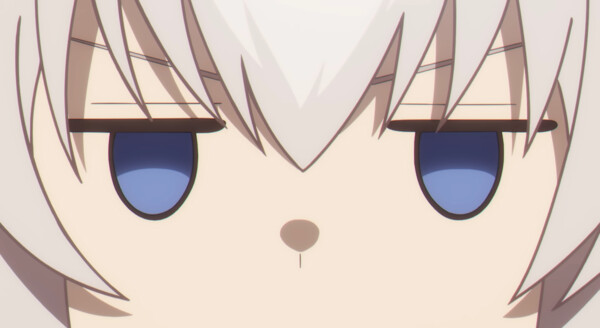 coop-4.png
