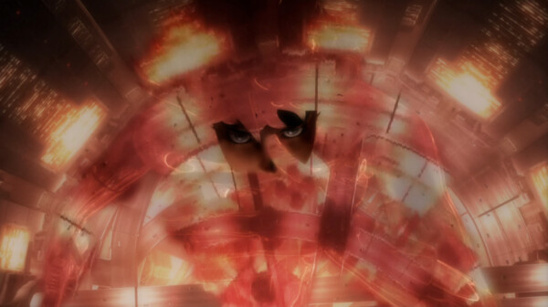 coop-6.png
