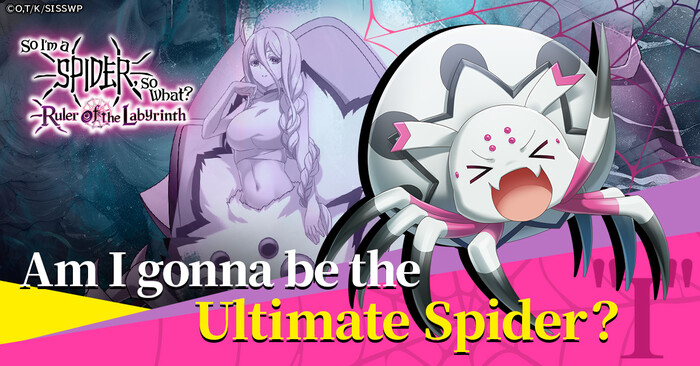 spider01